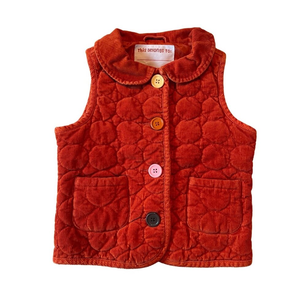 5-6Y Gymboree Burnt Orange Corduroy Peter Pan Collar Rainbow Button Vest